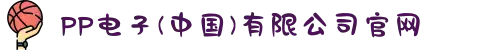 PP电子(中国)有限公司官网